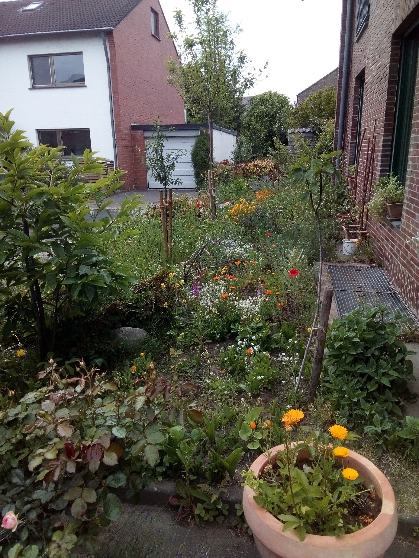 Stadt Moers Mein Garten für Moers Regionale Pinnwand